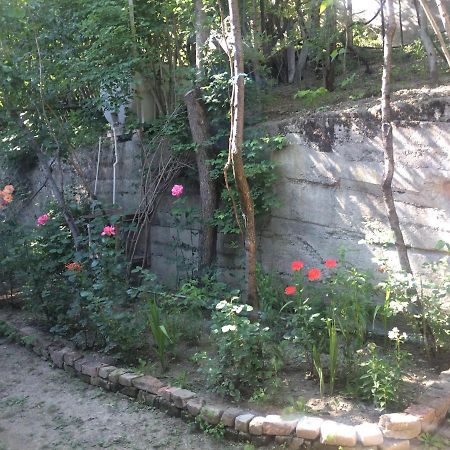 Guesthouse Malkhazi بورجومي المظهر الخارجي الصورة