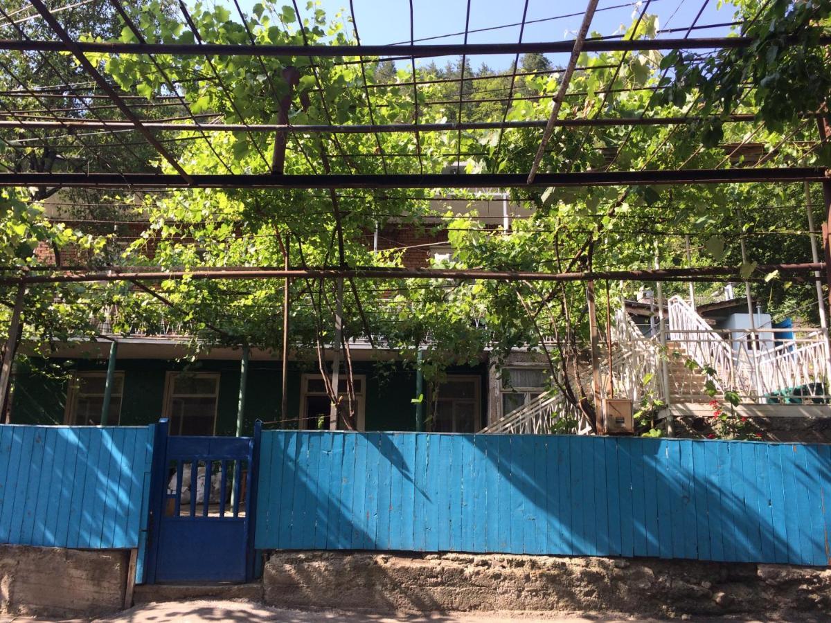 Guesthouse Malkhazi بورجومي المظهر الخارجي الصورة
