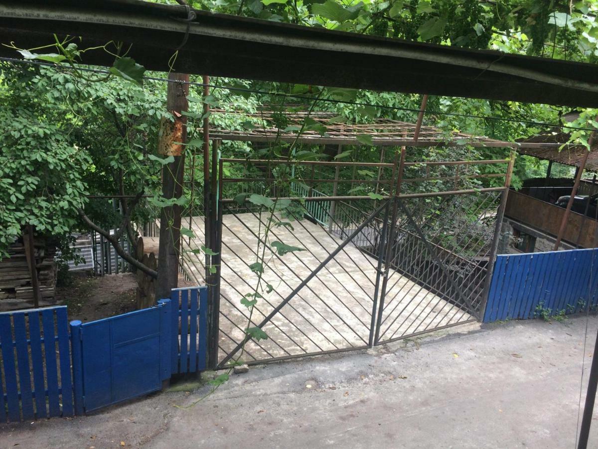 Guesthouse Malkhazi بورجومي المظهر الخارجي الصورة
